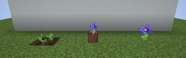 Aristea, potted Aristea, and cotton candy crops rendering normally